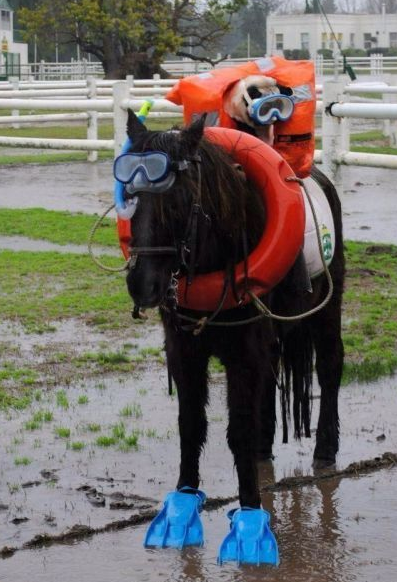 Bu kareler diğerlerinden çok farklı - Resim: 3