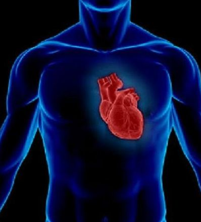 İnsan vücudunun sırlarına tanık olun! - Resim: 2