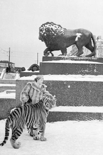 Günün en çılgın 50 fotoğrafı - Resim: 3
