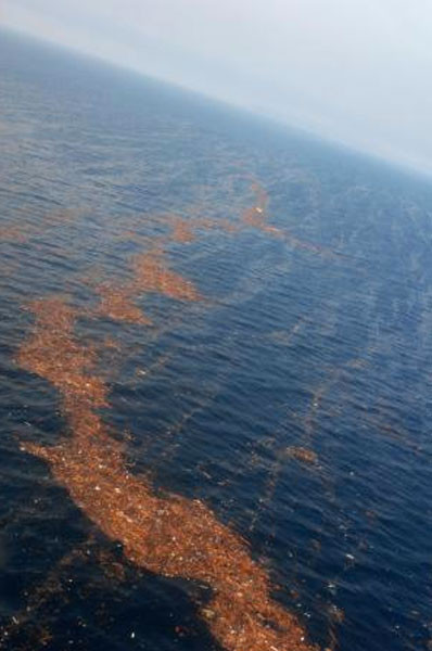 Japonya'nın çöpleri ABD'ye gidiyor - Resim: 2