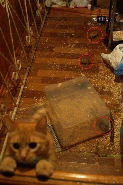 Günün en çok paylaşılan fotoğrafları... - Resim: 4