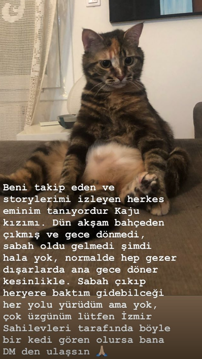 Gizem Karaca herkesten yardım istemişti! Acı haberi sosyal medyadan duyurdu - Resim: 2