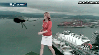 Gülmekten karnınıza ağrılar girecek - Resim: 3