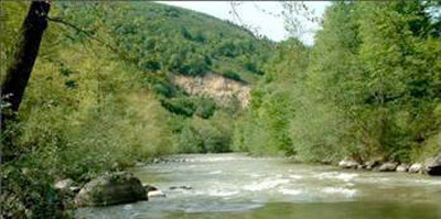 Yaşam standartında hangi il kaçıncı sırada! - Resim: 1