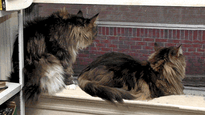 Haftanın en çok tıklananları - Resim: 1