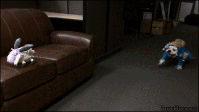 Gününüze neşe katacak gifler - Resim: 3