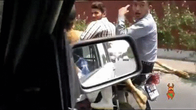 Gülme krizine sokacak pazar günü gifleri! - Resim: 1