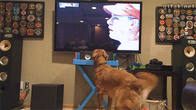 Bayrama özel en eğlenceli gifler burada! - Resim: 2