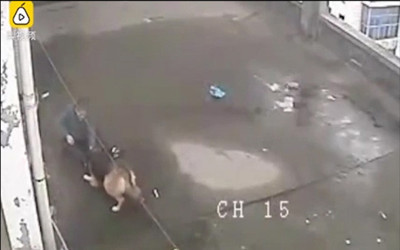 Köpekler kadını yemeye çalıştı! İşte saldırı anları