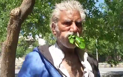 Ağaç yiyerek yaşayan Pakistanlı