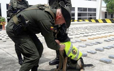 Suç örgütü polis köpeğini öldürene 70 bin dolar vadetti