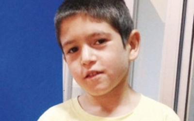 Aranan karaciğer sonunda bulundu