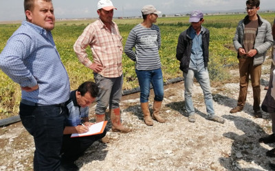 Niğde'de etkili olan sağanak ve dolu yağışı ekinleri ziyan etti!