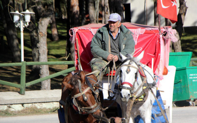 Adalar'daki faytonlar kaldırılıyor İBB'de son dakika kararı