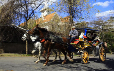 Adalar'daki faytonlar yaklaşık 70 milyon liraya İBB'ye geçecek 