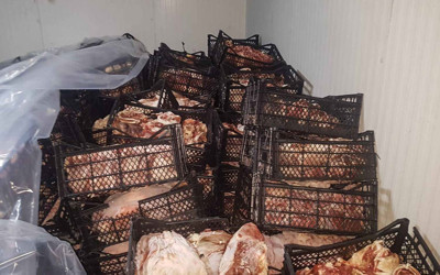 Adana'da 39 ton kokmuş eti vatandaşa yedireceklerdi