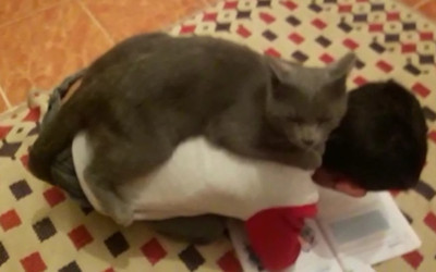 Kars'ta kedi ders yapan çocuğu rahat bırakmadı! O anlar gülümsetti