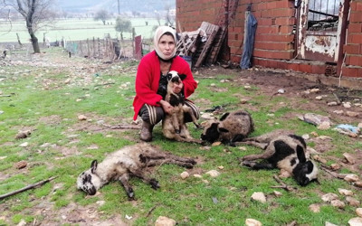Muğla'da yılın son günü hayatlarının şokunu yaşadılar!