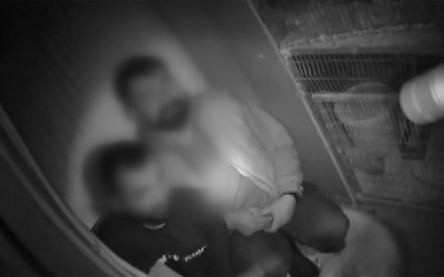 Muğla'da horoz dövüştüren 20 kişiye paraya cezası