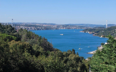 Onlarca gemi deniz salyangozu avı için İstanbul Boğazı'na akın etti