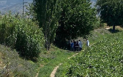 Aydın'da dut ağacına kendini astı intihar notu bıraktı Beş kıta gezdim, hiçbir şey anlamadım
