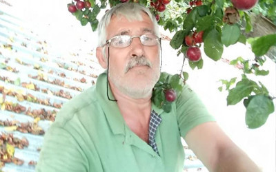 Zonguldak'ta kestane sevdası yaşlı adamın hayatına mal oldu