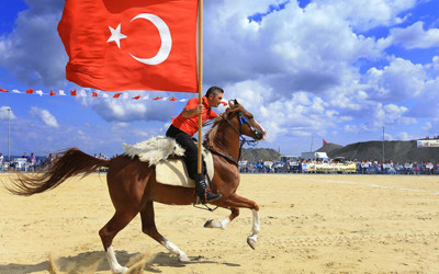 MHP'den Türk atlarının soyları korunsun teklifi