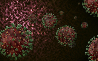 Ebola salgınında ölü sayısı 4 bin 178’e yükseldi
