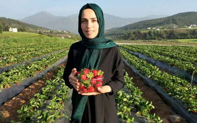 Meraktan başladılar şimdi paraya para demiyorlar...