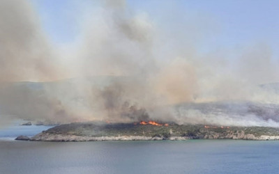 İzmir'de makilik alanda yangın çıktı!