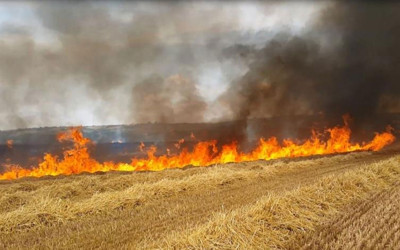 Aşırı sıcaklar hububat tarlalarında yangın riskini artırıyor!