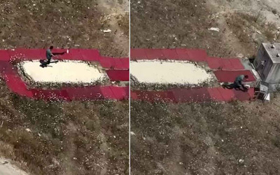 İstanbul'da dehşete düşüren görüntüler! Hayvana şiddet kamerada: Güvercini fırlatıp tekmeledi
