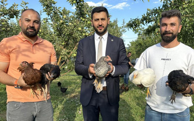 8 civcivle işe başlayan 4 öğretmen bin 200 tavuklu çiftlik kurdu