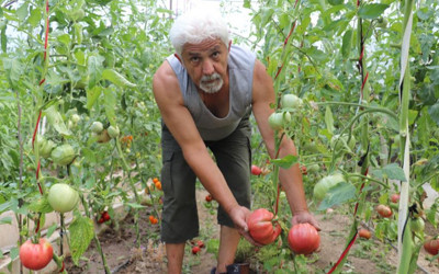 Kimsenin kullanmadığı tohumları kullandı, aldığı sonuç hayrete düşürdü