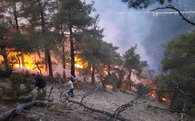 Bolu'da korkutan orman yangını! Yıldırım düşmüştü, saatlerdir alev alev yanıyor! 15 hektarlık alan küle döndü...