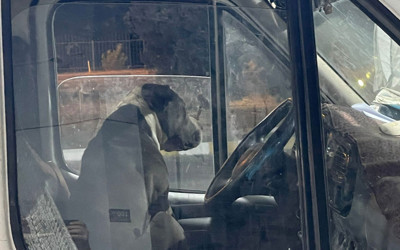 Kamyon şoförü dehşete düştü aracına binemedi geceyi dışarıda geçirdi