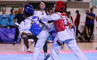 Taekwondo Anadolu Yıldızlar Ligi Yarı Finalleri, Mardin'de başladı