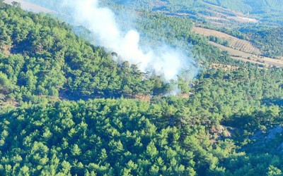 Çanakkale’de orman yangını çıktı!
