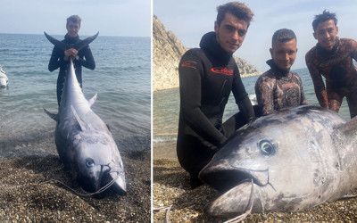 Mersin'de zıpkınla 150 kilogramlık orkinos avlandı!