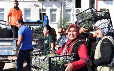 Mersin Silifkeli üreticilere lavanta fidesi dağıtıldı