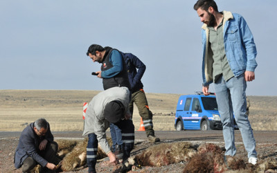 Kars’ta tur midibüsü hayvan sürüsüne çarptı, 25 koyun telef oldu
