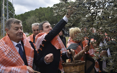 İzmir'in Bergama ilçesinde zeytin ve zeytinyağı sezonu açıldı