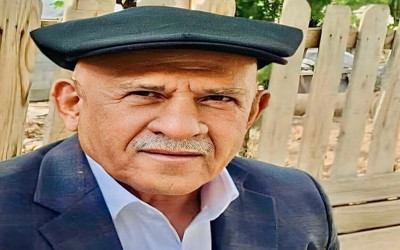 Silopi'de budamak için çıktığı ağaçtan düşen adam hayatını kaybetti
