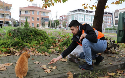 Yalova Belediyesi’nden sokak hayvanlarına 11 ayda 28,5 ton mama dağıtıldı