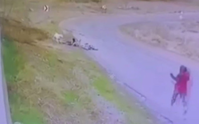 Yine Ankara yine başıboş köpek saldırısı! Bisiklet binen çocuğa saldırdı
