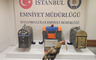 Sultanbeyli’de horoz dövüşçülerine polisten suçüstü