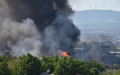 İzmir'de palet atölyesinde çıkan yangın otluk alana sıçradı