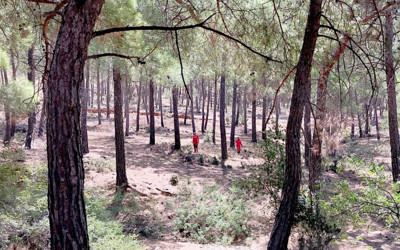 Mersin'de 80 yaşındaki Alzheimer hastası kayboldu