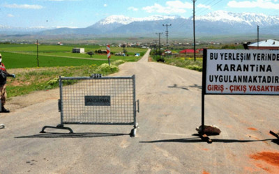 Hatay'da kuduz alarmı: Bir mahalle karantinaya alındı