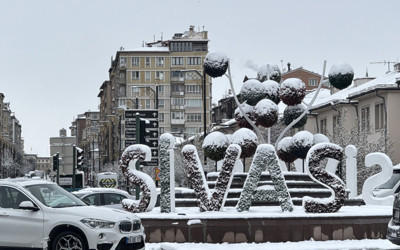 Sivas Valiliği'nden zirai don açıklaması